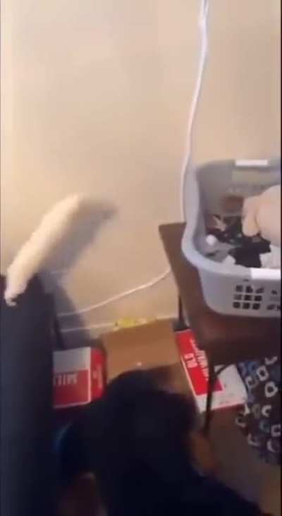 Sock Wunket