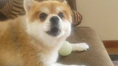 HE ANGY