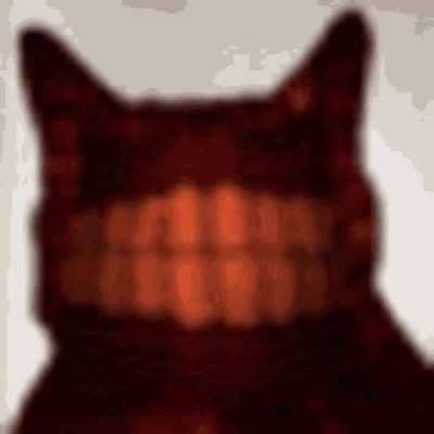 Do y'all like cats in UK?