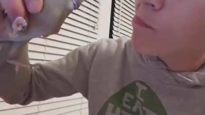 Pog Pássaro colher
