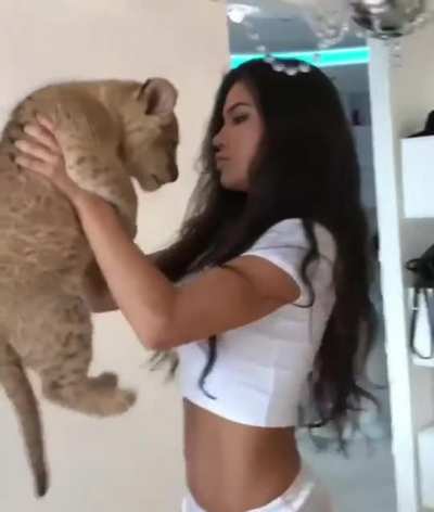 lion king