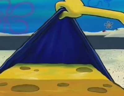 Fun Fact: Many sea stars have five-point radial symmetry… except Patrick.