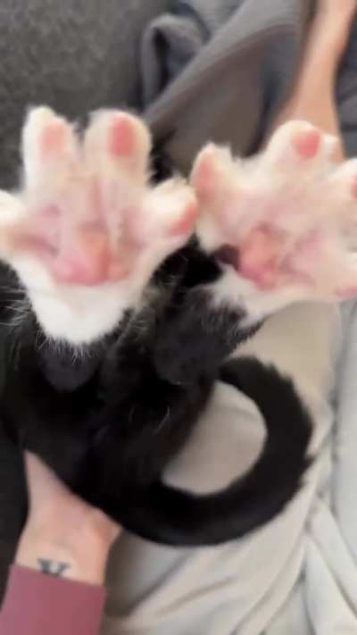 Wunky peets...