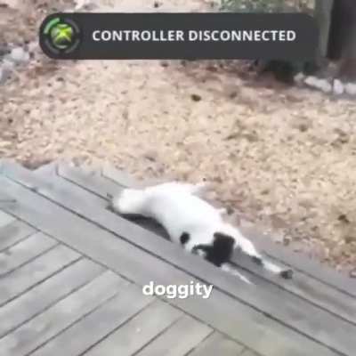 LULW