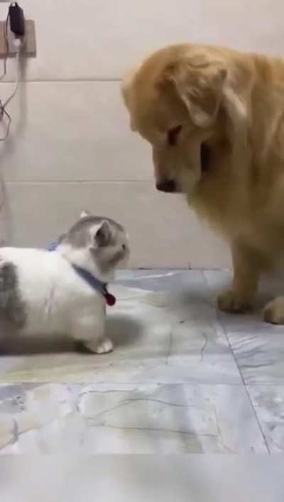 У съка
