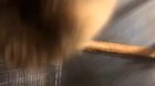 Monkey spin wheeeeeeee!!!
