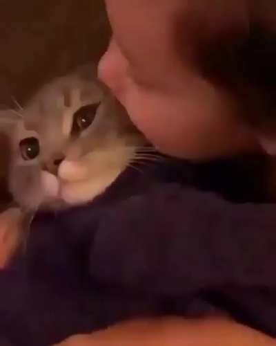 Awwww