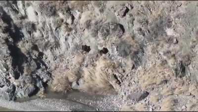 Two Pakistani Taliban (TTP) militants neutralized (kill<wbr>ed/wo<wbr>unded<wbr>) by Pakistani Frontier Corps (FC) troops in district North Waziristan in Khyber Pakhtunkhwa, Pakistan, during operation conducted by FC yesterday where 12 TTP militants were killed and 4 wo