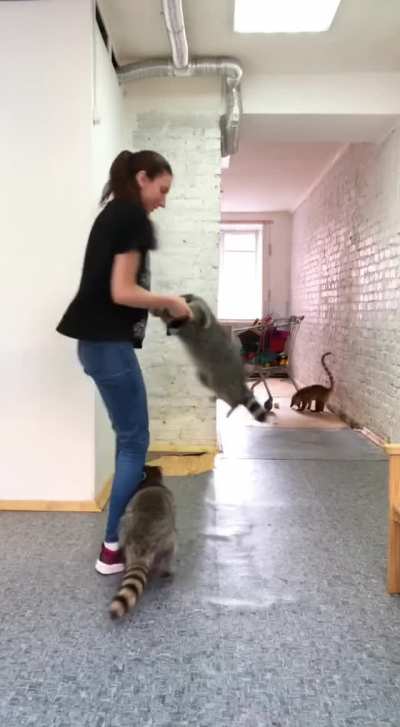 Trashpanda Party