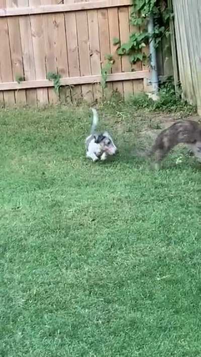 Best friends
