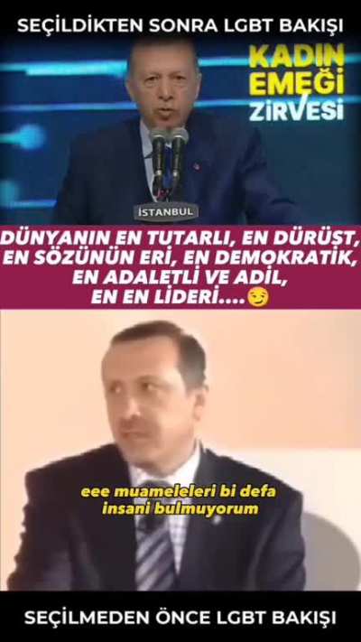 Bu bir bukalemun belgeselidir