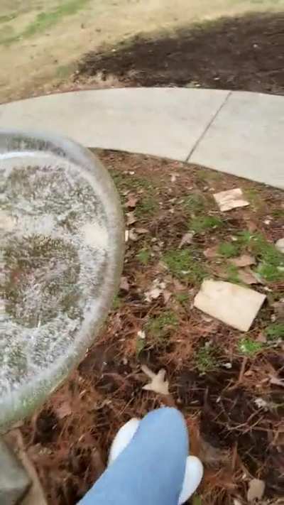 Not mine but still.