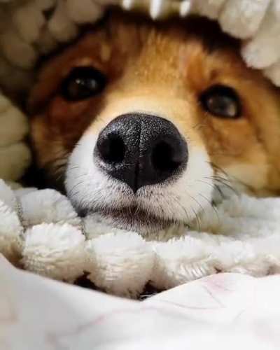 Cute time