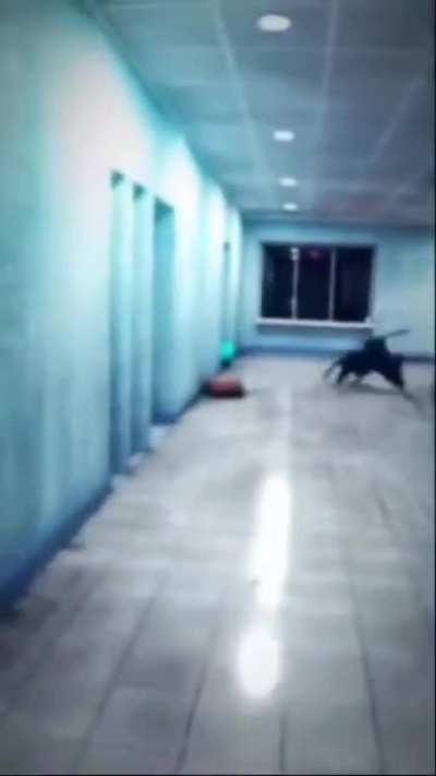 Umbrella attack