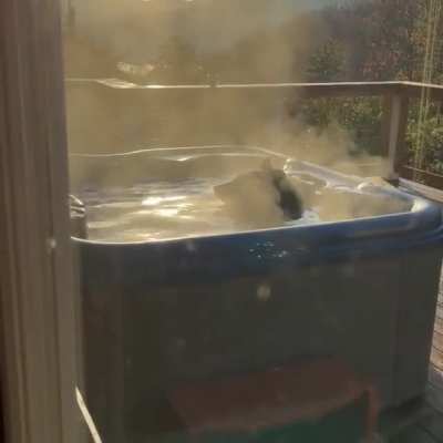 Freeloading bear taking a bath in someone's backyard jacuzzi