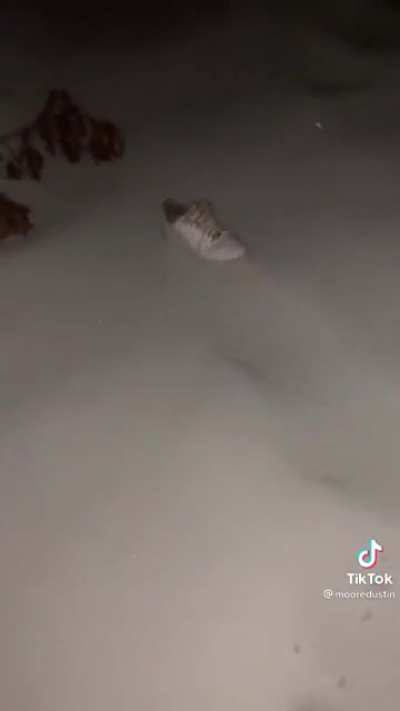 Shoe noped out (not oc)