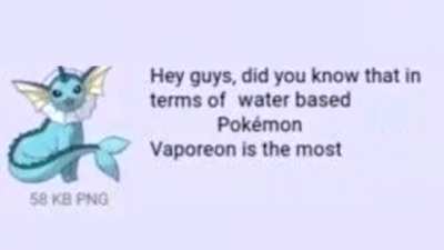Vaporeon_irl