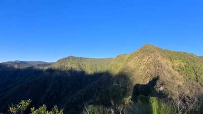 The beauty of Border Ranges National Park