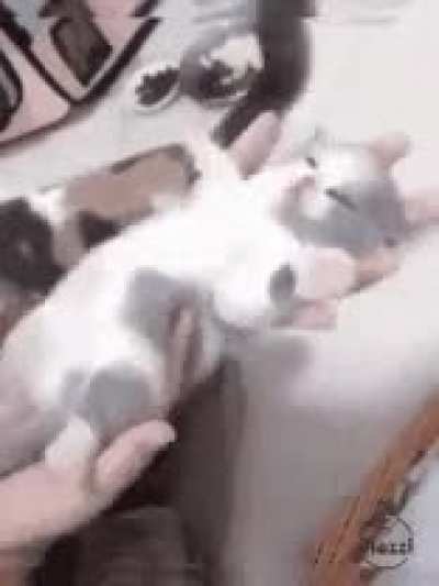 Guh