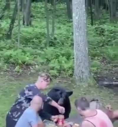Just a normal party with a bear.