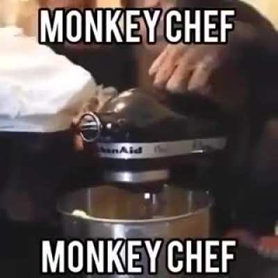 M o n k e y