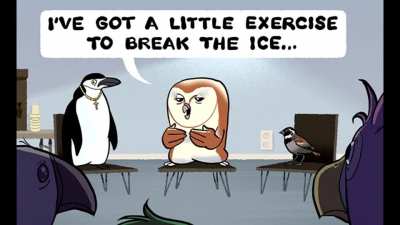 Bird Therapy