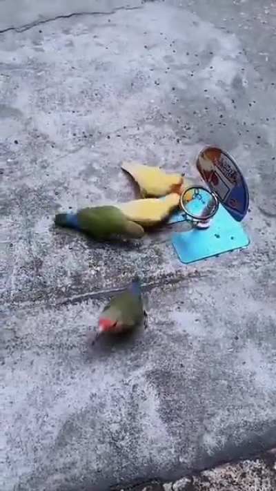Напря<wbr>жённы<wbr>й матч
