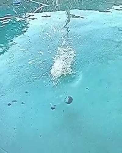 Buguei lindo depois desse vídeo