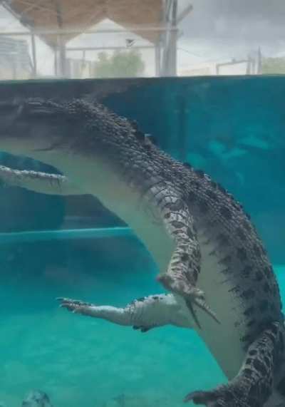hmmm