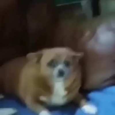 AAAAAAAAHHH