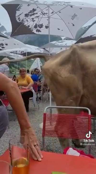 Switzerland be like