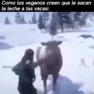 confirmo