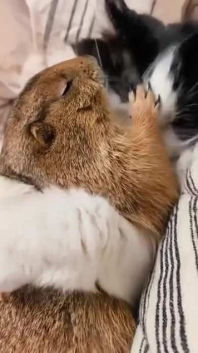 An unusual bond