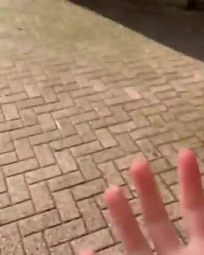 TeenFur