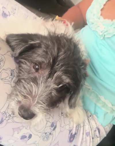 Será que está cómodo aquí ? Te amo mi tobby