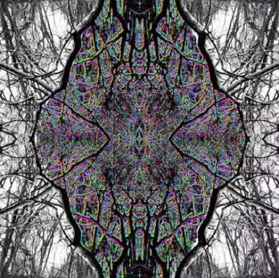 Tree Portal