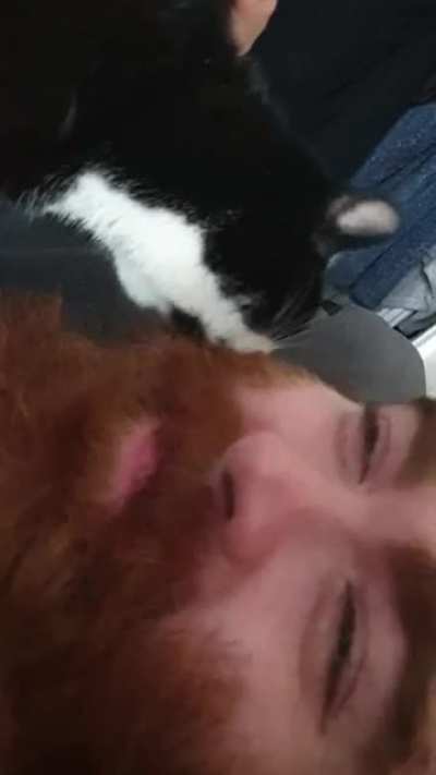 Feb the Cat 