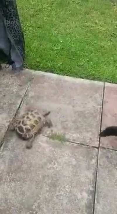 An Unexpected Journey.