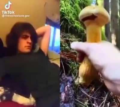 Mushroom