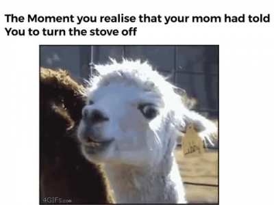 Why did you spill the milk!