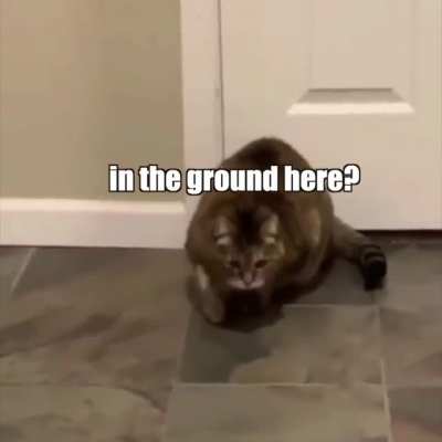 Hmm