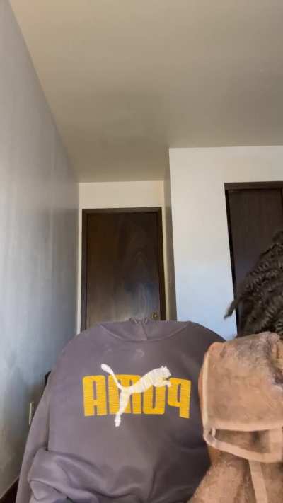IG live🤳