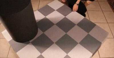 Brain automatically adjusts color based on surrounding shadows