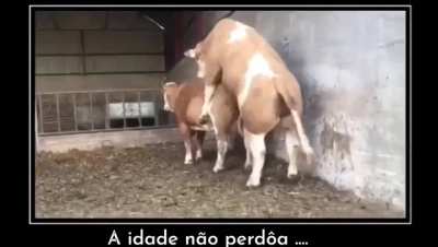 To procriate