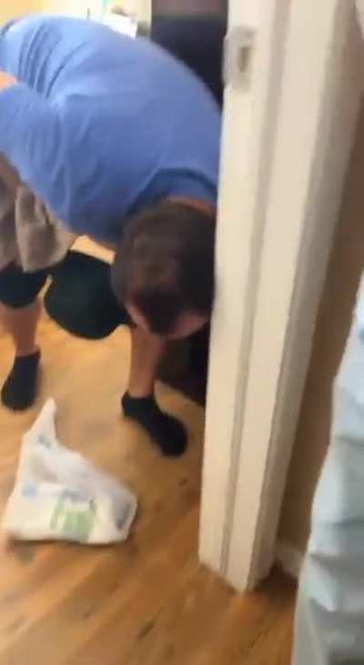 A bird flew into my Friends house today