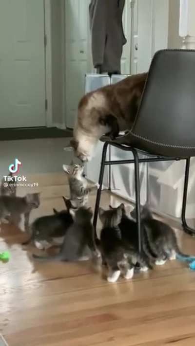 Mamas had enough
