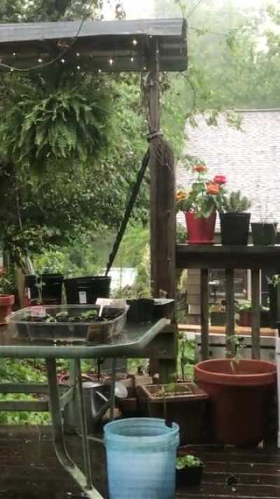 Raining on the garden station