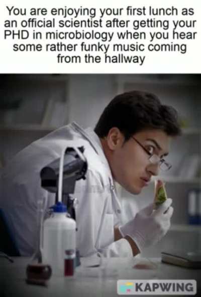 Huh what’s that noise?