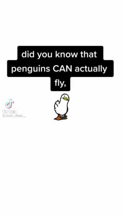 Fun Fact