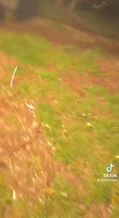 I can't stop watching this! Please, someone tell me what happened!